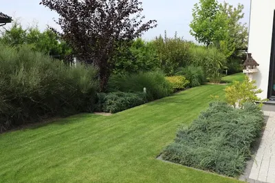 Zadbany Ogród - Projektowanie ogrodów